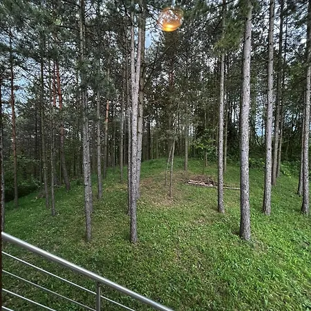 Hukic * トゥズラ